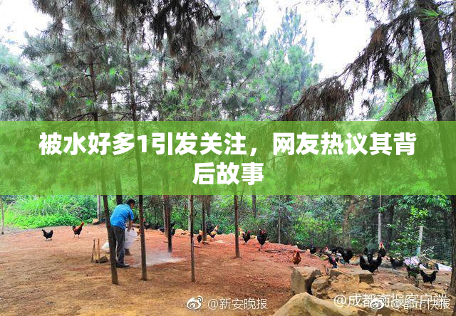 被水好多1引发关注，网友热议其背后故事