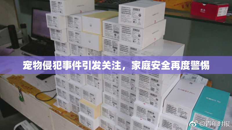 宠物侵犯事件引发关注，家庭安全再度警惕