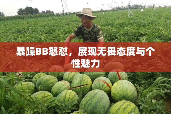 暴躁BB怒怼，展现无畏态度与个性魅力