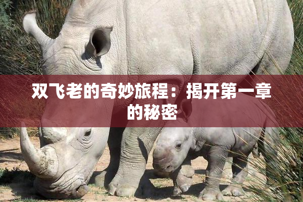 双飞老的奇妙旅程：揭开第一章的秘密