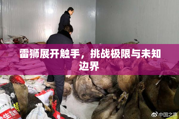 雷狮展开触手，挑战极限与未知边界