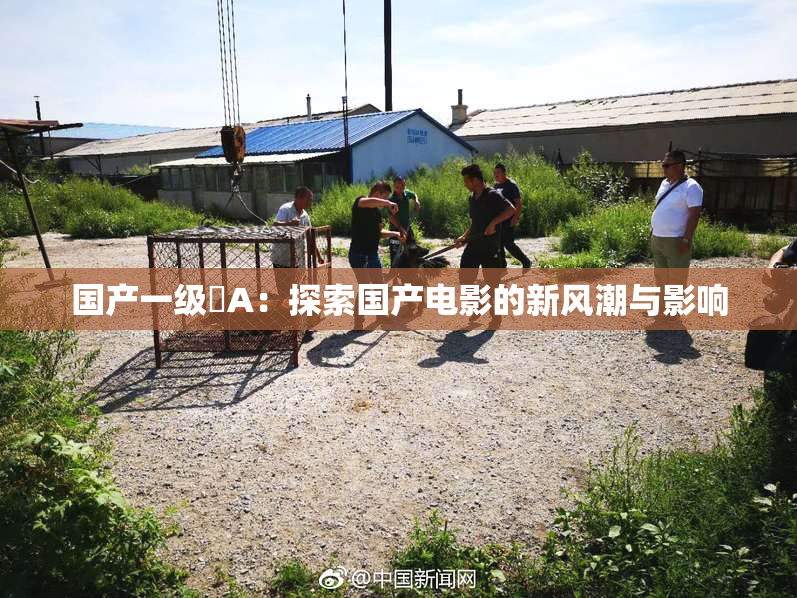 国产一级婬A：探索国产电影的新风潮与影响
