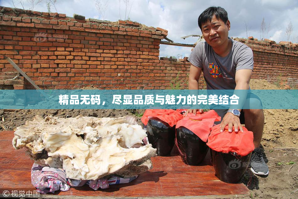 精品无码，尽显品质与魅力的完美结合