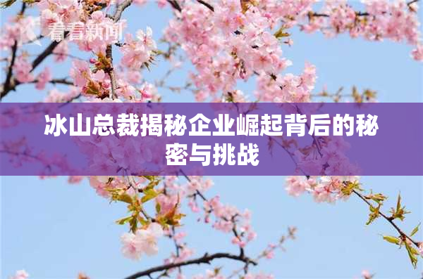 冰山总裁揭秘企业崛起背后的秘密与挑战