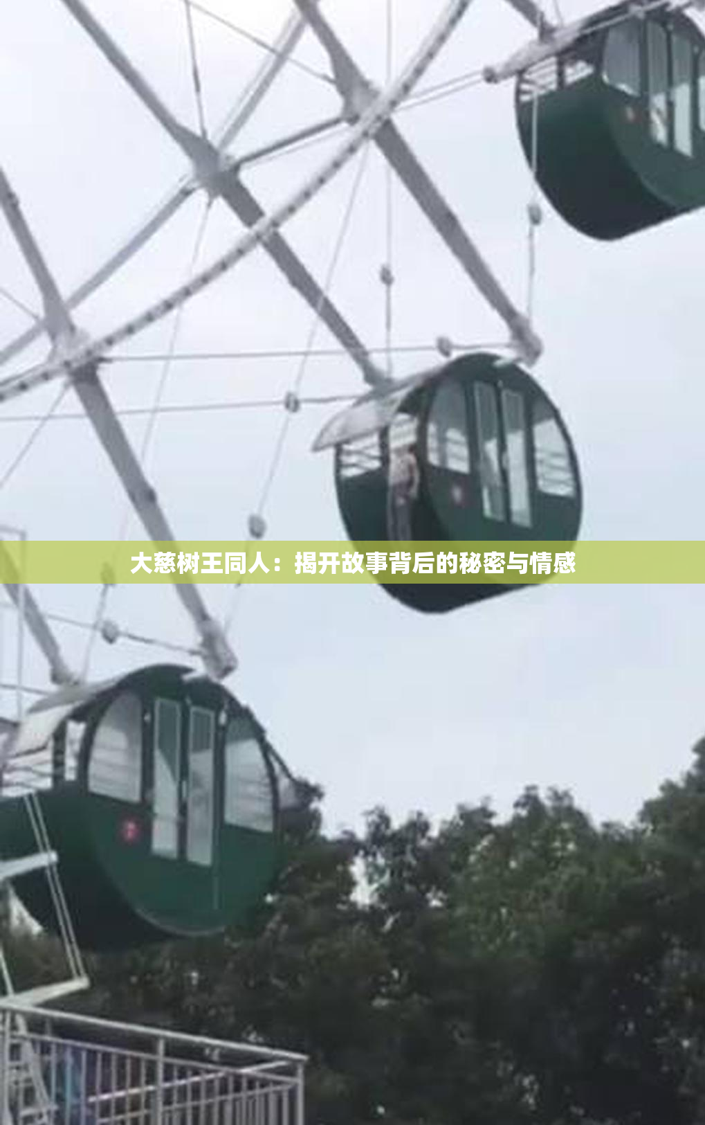 大慈树王同人：揭开故事背后的秘密与情感