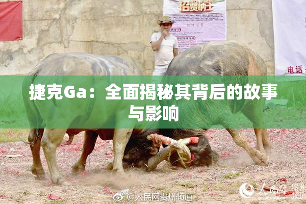 捷克Ga：全面揭秘其背后的故事与影响