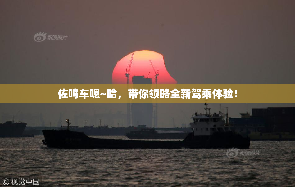 佐鸣车嗯~哈，带你领略全新驾乘体验！