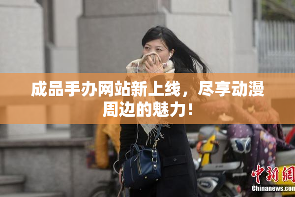 成品手办网站新上线，尽享动漫周边的魅力！