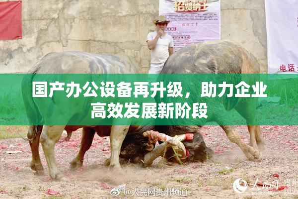 国产办公设备再升级，助力企业高效发展新阶段