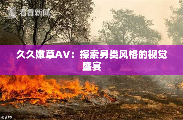 久久嫩草AV：探索另类风格的视觉盛宴