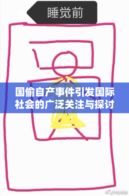 国偷自产事件引发国际社会的广泛关注与探讨