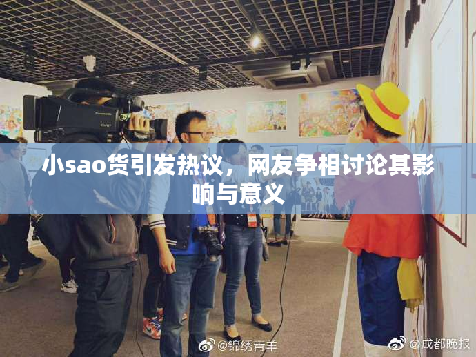 小sao货引发热议，网友争相讨论其影响与意义