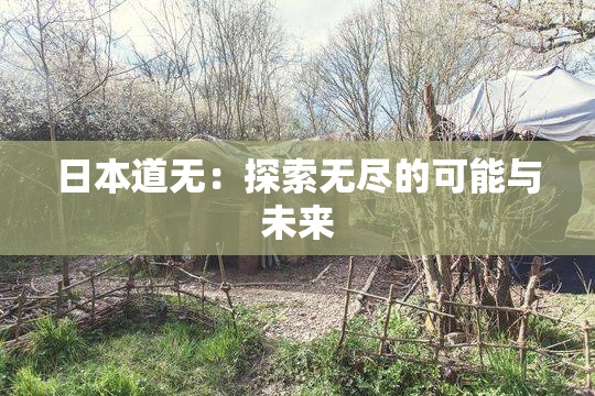 日本道无：探索无尽的可能与未来
