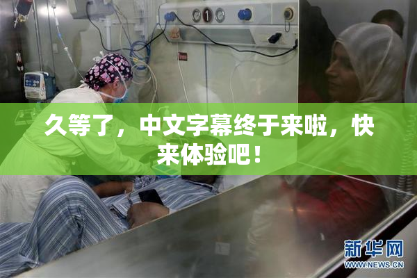 久等了，中文字幕终于来啦，快来体验吧！