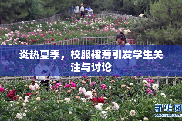 炎热夏季，校服裙薄引发学生关注与讨论