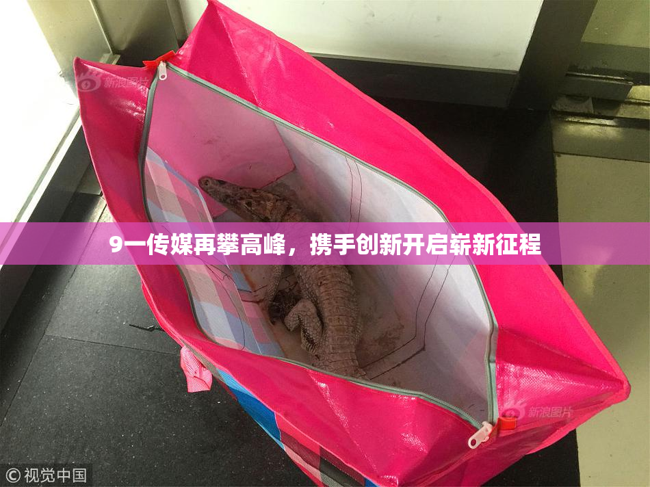 9一传媒再攀高峰，携手创新开启崭新征程