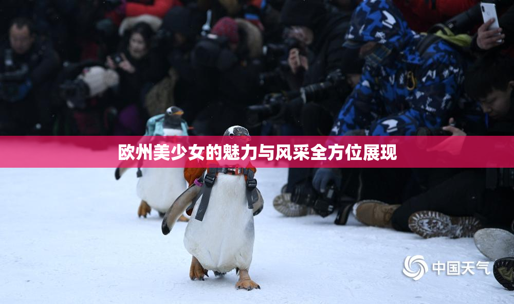欧州美少女的魅力与风采全方位展现