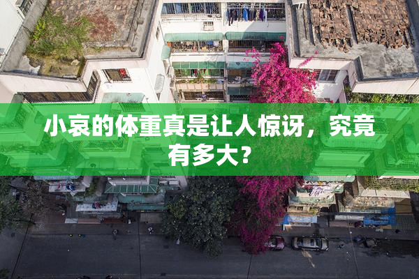 小哀的体重真是让人惊讶，究竟有多大？