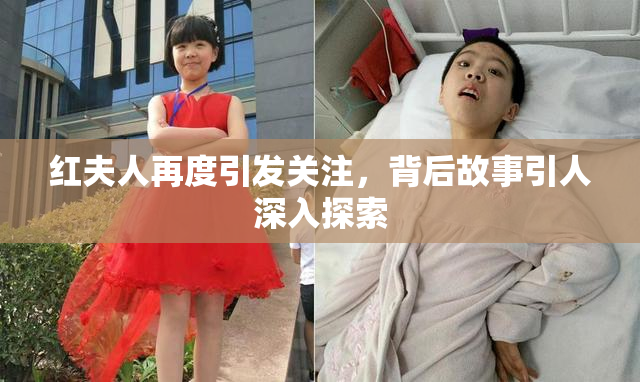 红夫人再度引发关注，背后故事引人深入探索