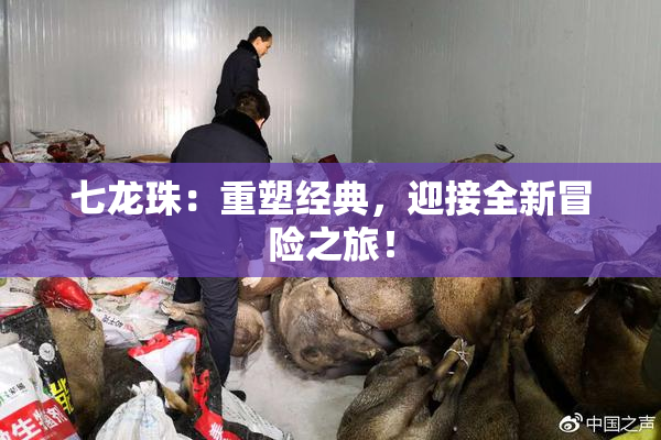 七龙珠：重塑经典，迎接全新冒险之旅！