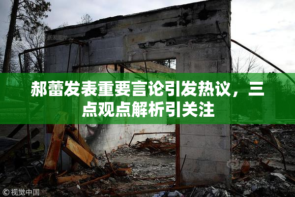 郝蕾发表重要言论引发热议，三点观点解析引关注