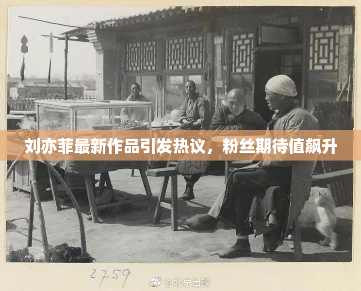 刘亦菲最新作品引发热议，粉丝期待值飙升