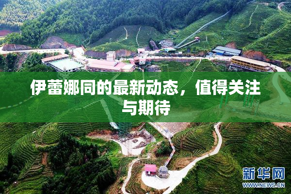 伊蕾娜同的最新动态，值得关注与期待