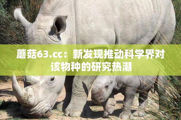 蘑菇63.㏄：新发现推动科学界对该物种的研究热潮