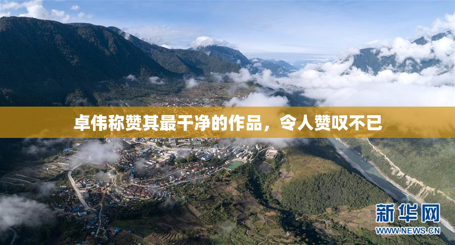 卓伟称赞其最干净的作品，令人赞叹不已