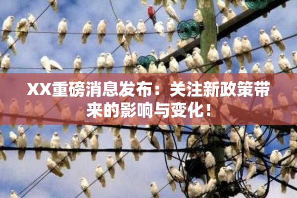 XX重磅消息发布：关注新政策带来的影响与变化！
