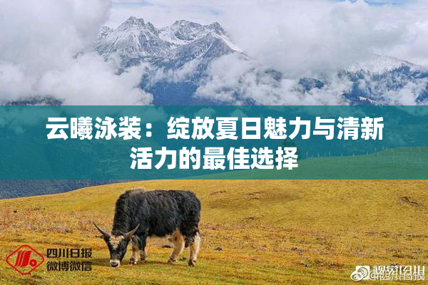 云曦泳装：绽放夏日魅力与清新活力的最佳选择