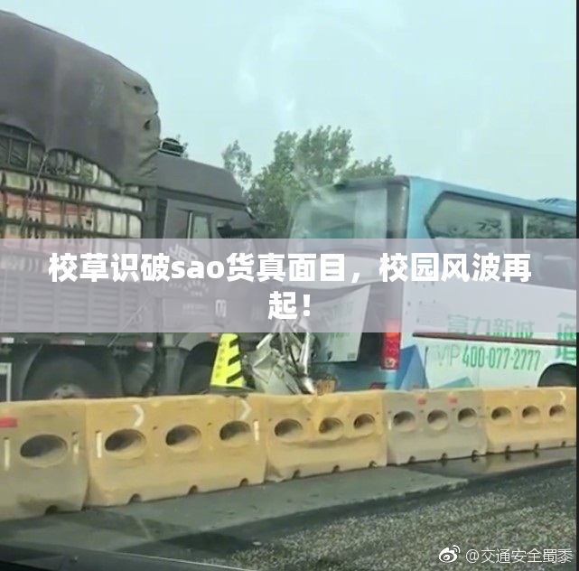 校草识破sao货真面目，校园风波再起！