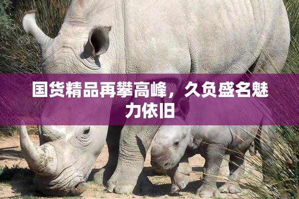 国货精品再攀高峰，久负盛名魅力依旧