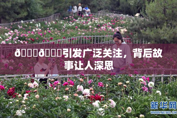 🐔🐔引发广泛关注，背后故事让人深思