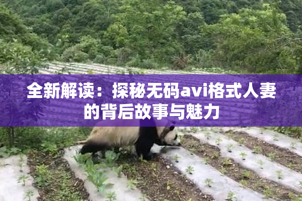 全新解读：探秘无码avi格式人妻的背后故事与魅力