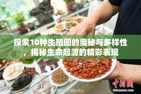 探索10种生殖图的奥秘与多样性，揭秘生命起源的精彩表现