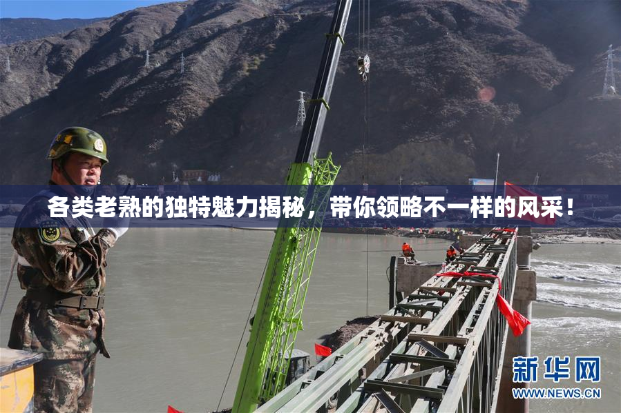 各类老熟的独特魅力揭秘，带你领略不一样的风采！