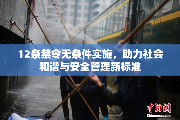 12条禁令无条件实施，助力社会和谐与安全管理新标准