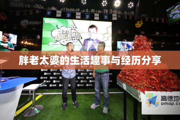 胖老太婆的生活趣事与经历分享