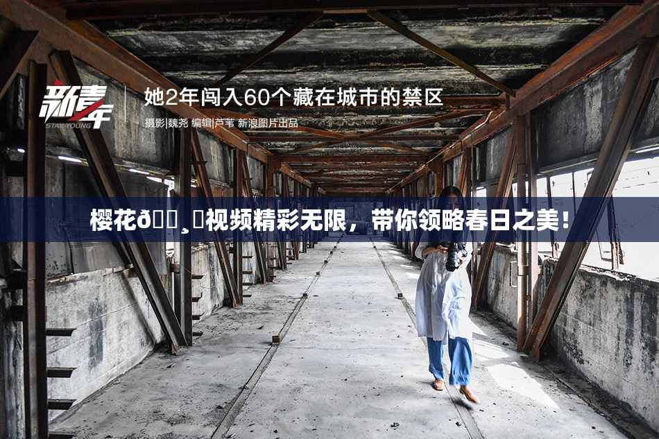 樱花🌸‌视频精彩无限，带你领略春日之美！