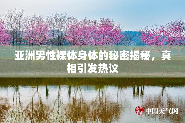亚洲男性裸体身体的秘密揭秘，真相引发热议
