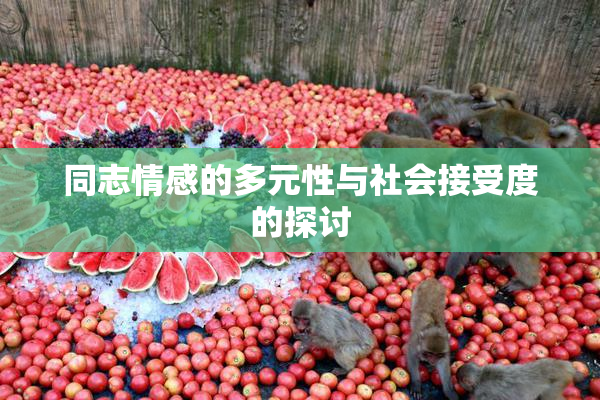 同志情感的多元性与社会接受度的探讨