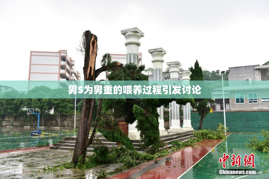 男S为男重的喂养过程引发讨论