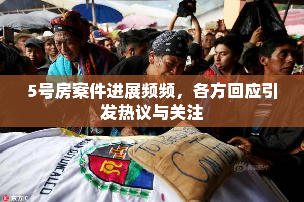 5号房案件进展频频，各方回应引发热议与关注