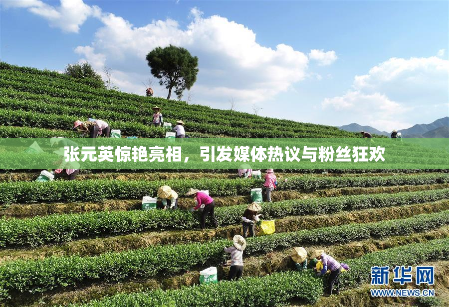 张元英惊艳亮相，引发媒体热议与粉丝狂欢