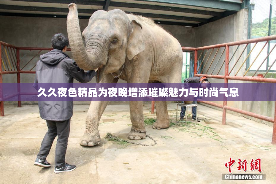 久久夜色精品为夜晚增添璀璨魅力与时尚气息
