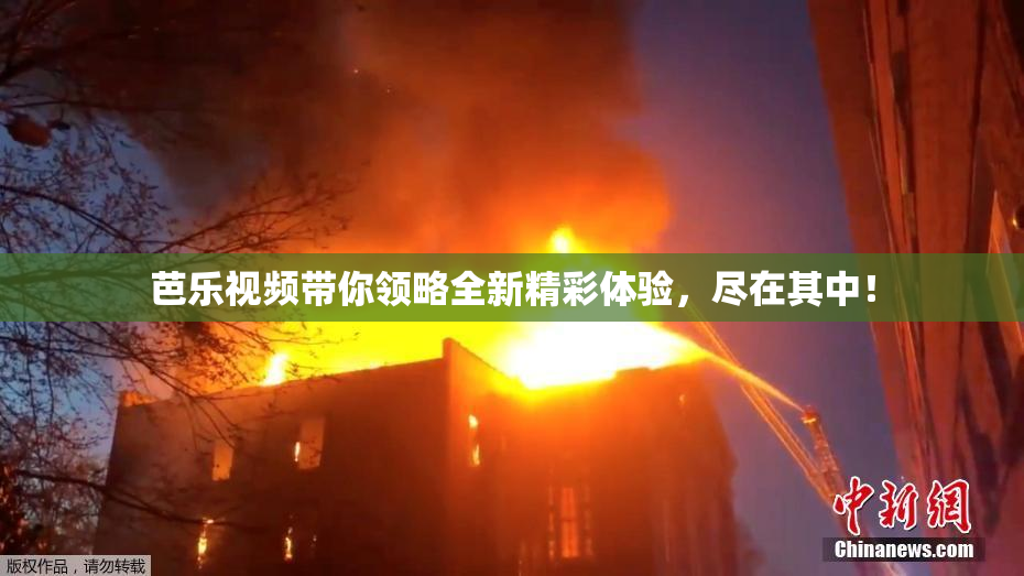 芭乐视频带你领略全新精彩体验，尽在其中！