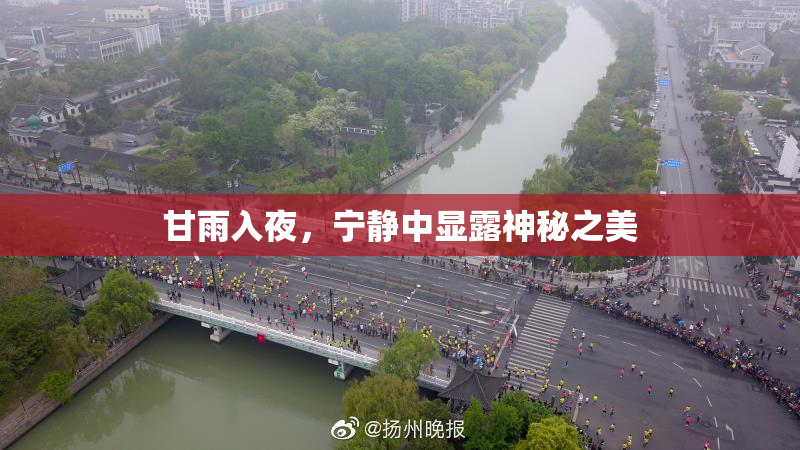 甘雨入夜，宁静中显露神秘之美