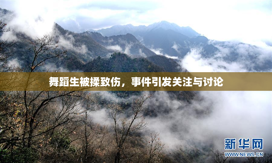 舞蹈生被揉致伤，事件引发关注与讨论