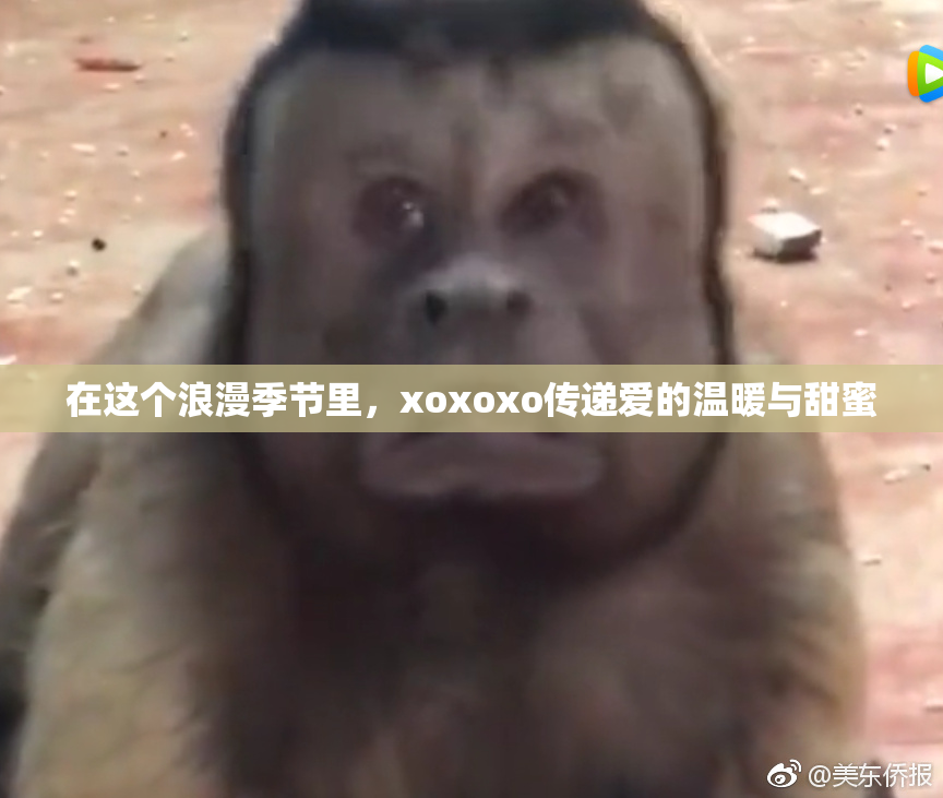 在这个浪漫季节里，xoxoxo传递爱的温暖与甜蜜